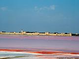 AIGUES MORTES-VEDUTA DALLE SALINE